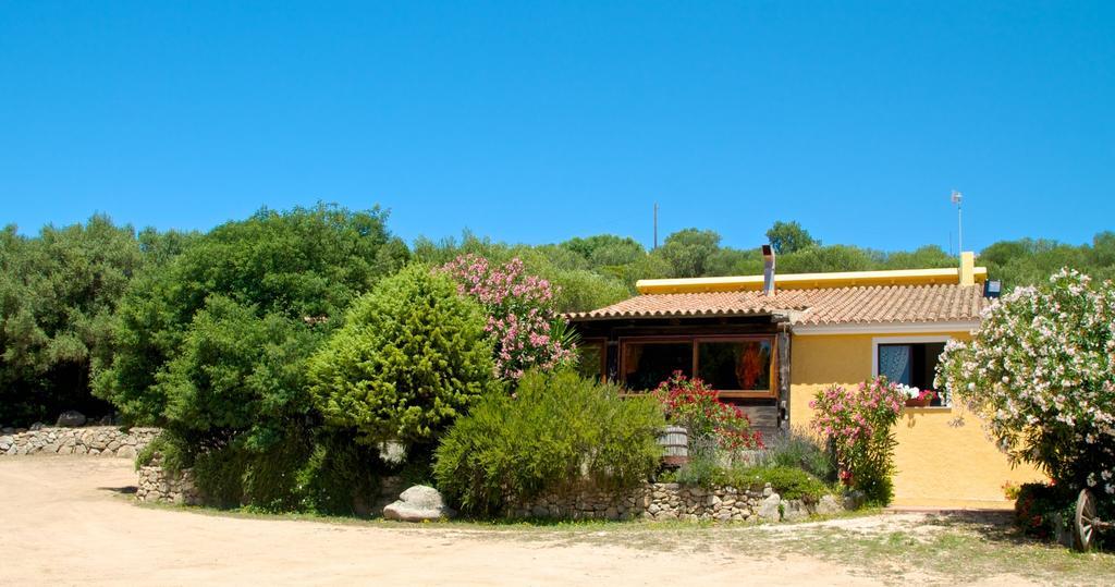 Agriturismo Sardo Villa Campavaglio Dış mekan fotoğraf