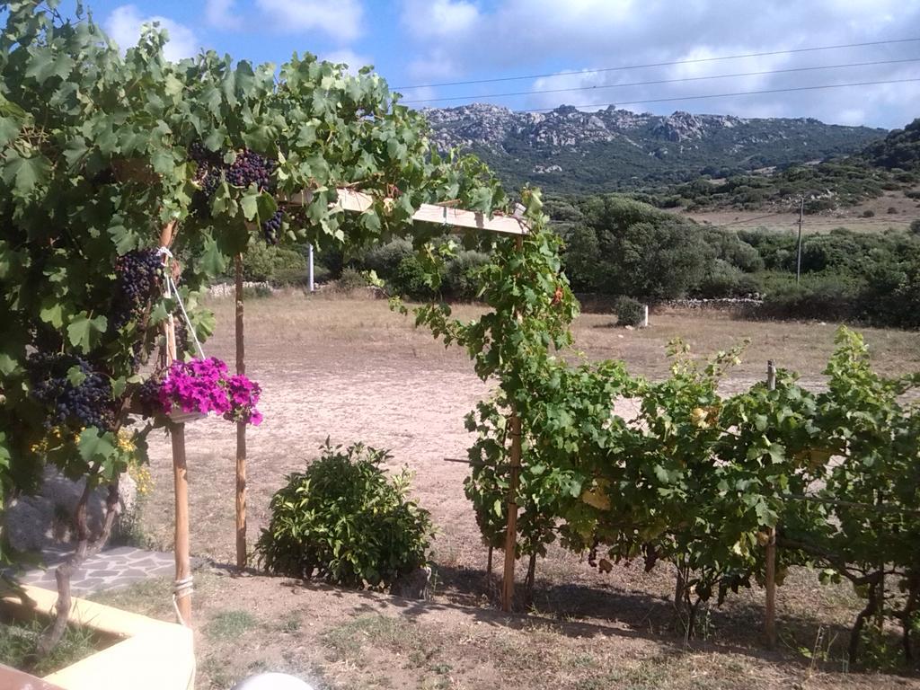 Agriturismo Sardo Villa Campavaglio Dış mekan fotoğraf