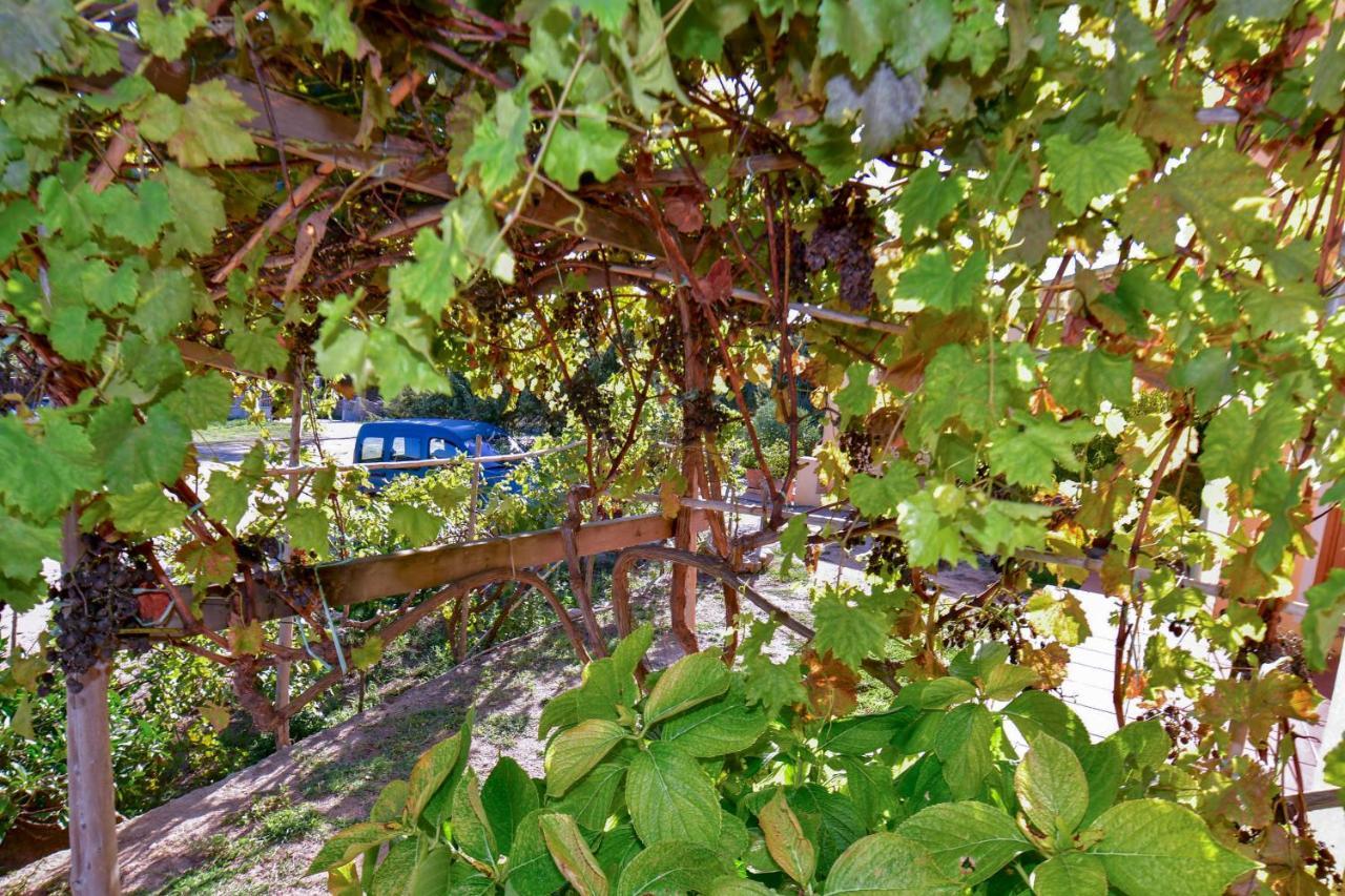 Agriturismo Sardo Villa Campavaglio Dış mekan fotoğraf