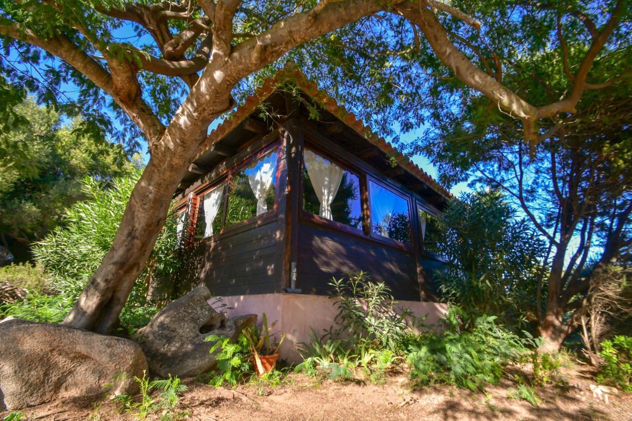 Agriturismo Sardo Villa Campavaglio Dış mekan fotoğraf
